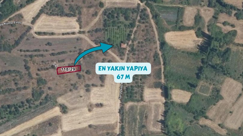 Fotoğraf
